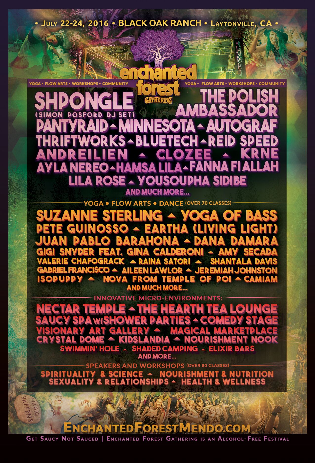 Enchanted Forest 2016