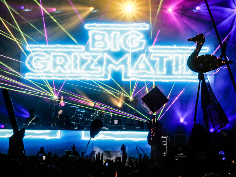 Big GrizMatik