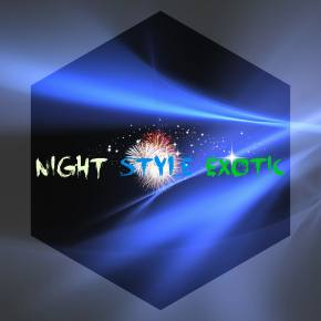 Night Style Exotic Logo