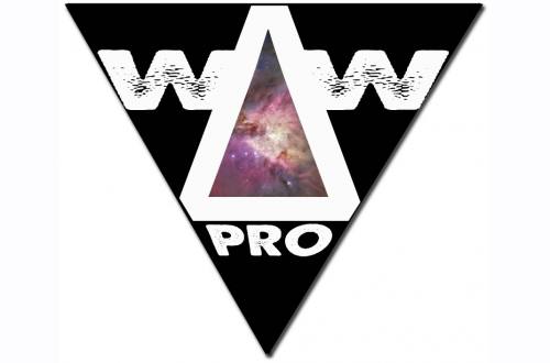Win ∆ Win Pro Logo