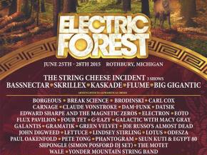 Four Tet, Galantis, Brodinski join Electric Forest 2015 lineup Preview