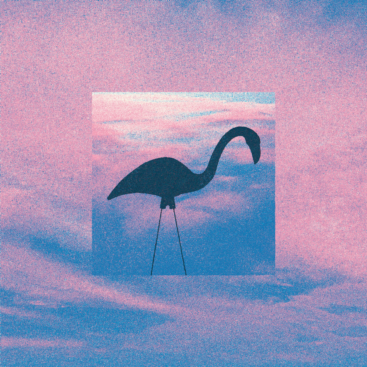 Flamingosis