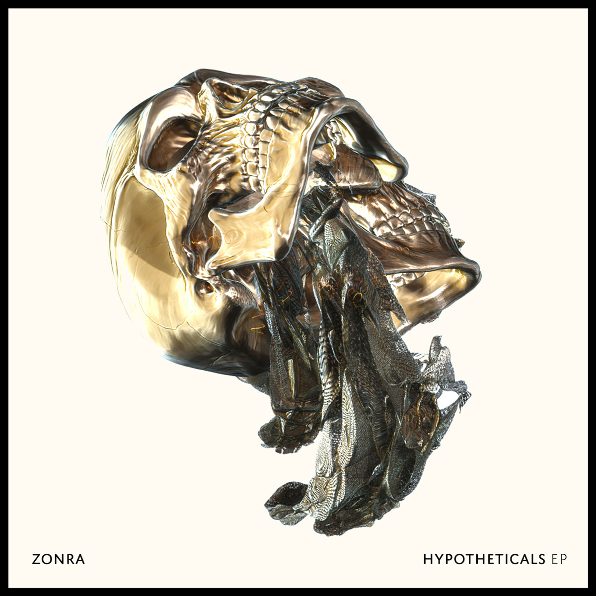 Zonra - Hypotheticals