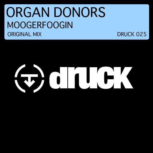 Album Art - Moogerfoogin (Orginal Mix)