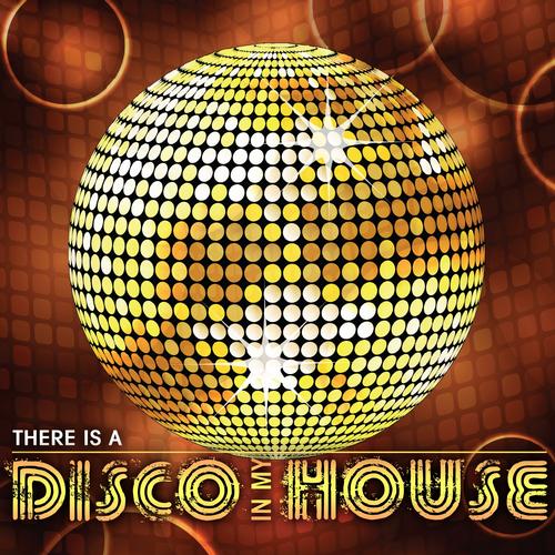 Album Art - There Is a Disco in My House