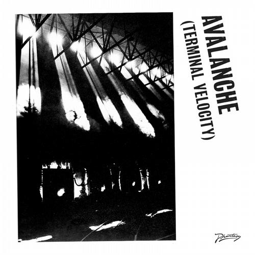 Avalanche (Terminal Velocity) Album Art