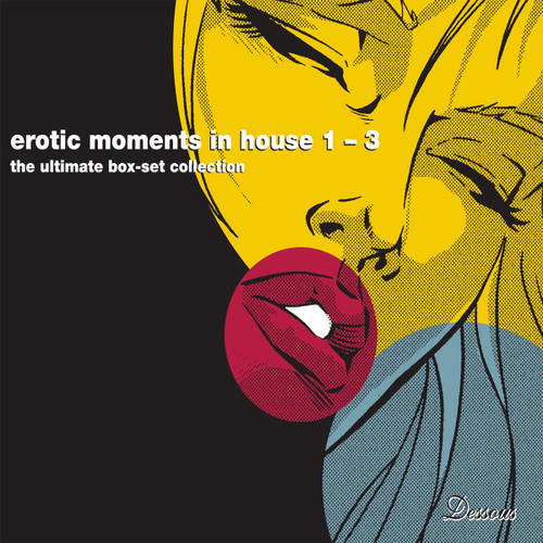 Album Art - Erotic Moments In House Volume 1-3 (The Ultimate Digital Box Set Collection)