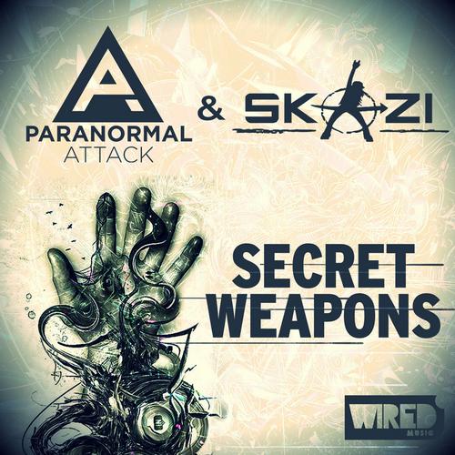Album Art - Secreat Weapons