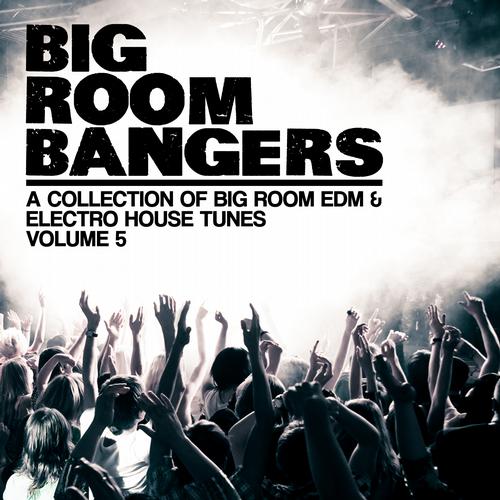 Album Art - Bigroom Bangers Vol. 5