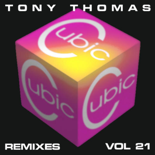 Album Art - TT Remixes Vol. 21