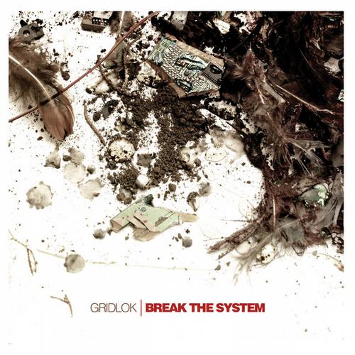 Album Art - Break The System
