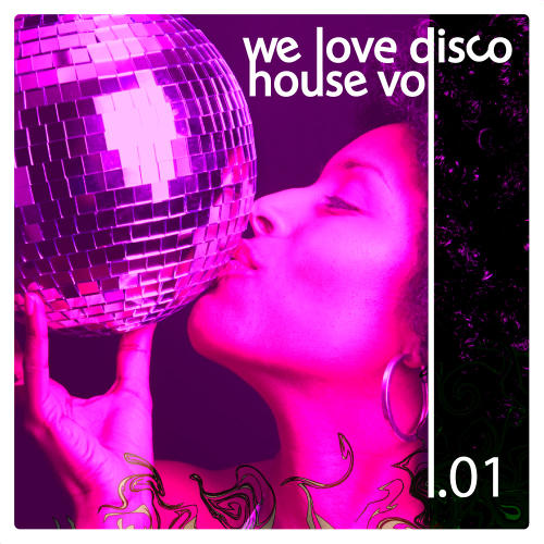 Album Art - We Love Disco House Volume 01