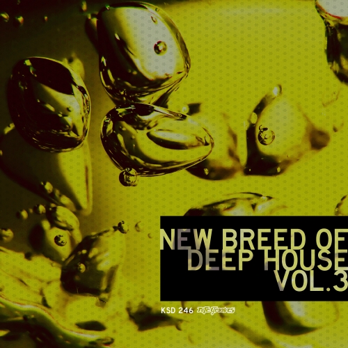 New Breed Of Deep House Vol. 3 Album Art