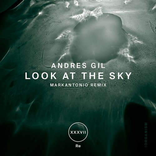 Album Art - Look At The Sky