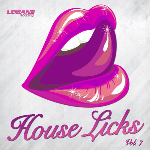 House Licks, Vol. 7 Album Art