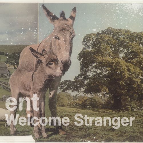 Album Art - Welcome Stranger
