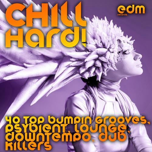 Chill Hard! (40 Top Bumpin Grooves, Psybient, Lounge, Downtempo, Dub Killers) Album Art