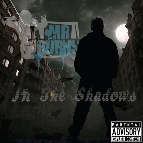 Album Art - In the Shadows