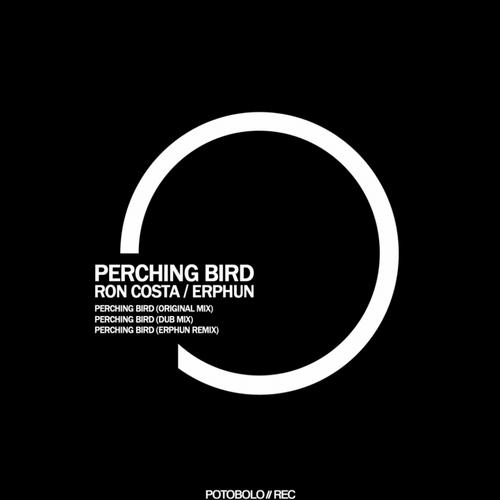 Album Art - Perching Bird (Erphun Remix Included)