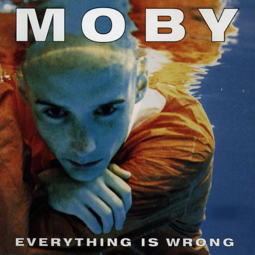 Album Art - Everything Is Wrong