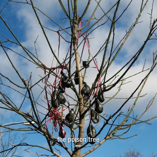 Album Art - The Poison Tree