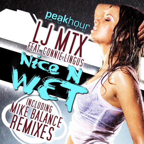 Album Art - Nice N Wet 2011 Remixes