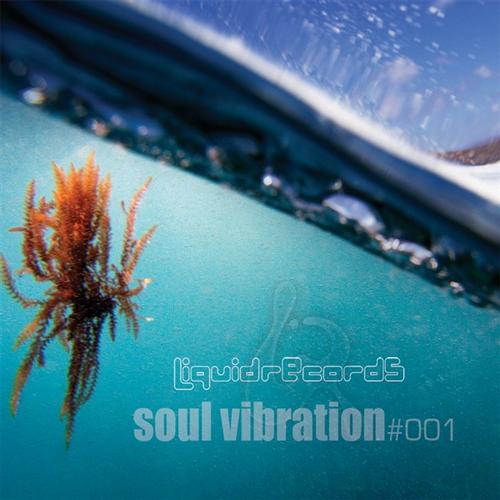 Album Art - Soul Vibration #001