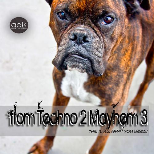Album Art - From Techno 2 Mayhem 3 (This is all what you need!)