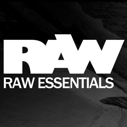 Album Art - Ronald Van Gelderen Presents RAW Essentials