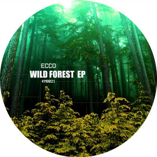 Album Art - Wild Forest