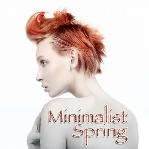 Album Art - Minimalist Spring
