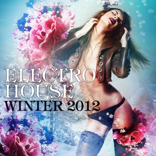 Album Art - Electro House Winter 2012