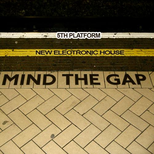 Album Art - Mind The Gap 5th Platform - New Electronic House