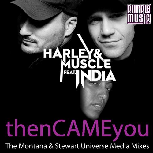 Album Art - Then Came You (The Montana & Stewart Universe Media Remixes)