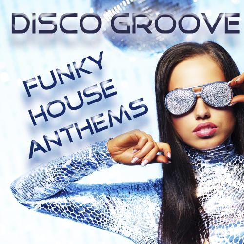 Album Art - Disco Groove: Funky House Anthems - Mixed By Love Assassins