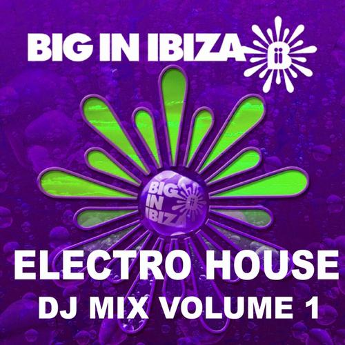 Album Art - Electro House: DJ Mix Vol. 1