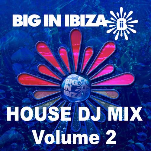 Album Art - House: DJ Mix Vol 2