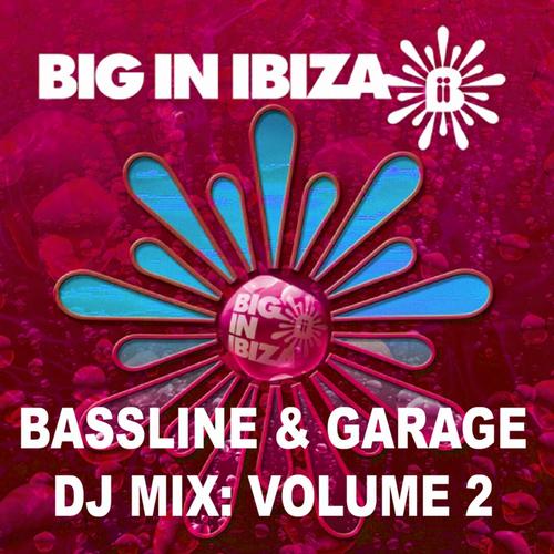 Album Art - Bassline & Garage: DJ Mix Vol 2