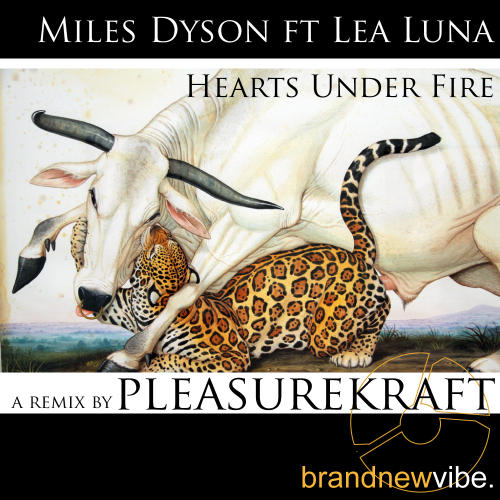 Album Art - Hearts Under Fire - Remixed By Pleasurekraft