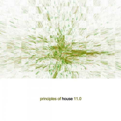 Album Art - Principles of House, Vol. 11