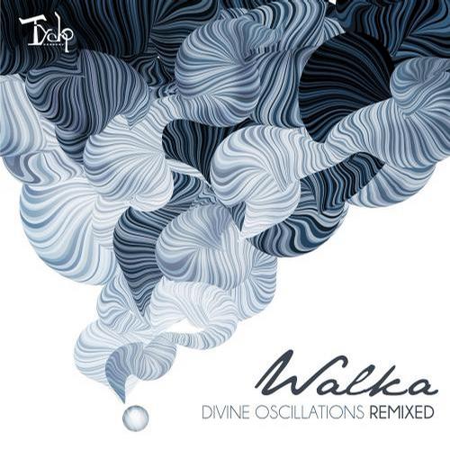 Divine Oscillations Remixed Album Art