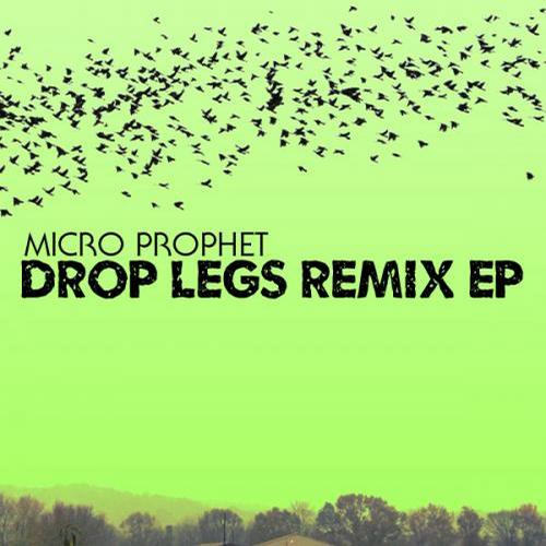 Album Art - Drop Legs Remix EP