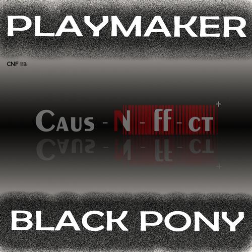 Album Art - Black Pony
