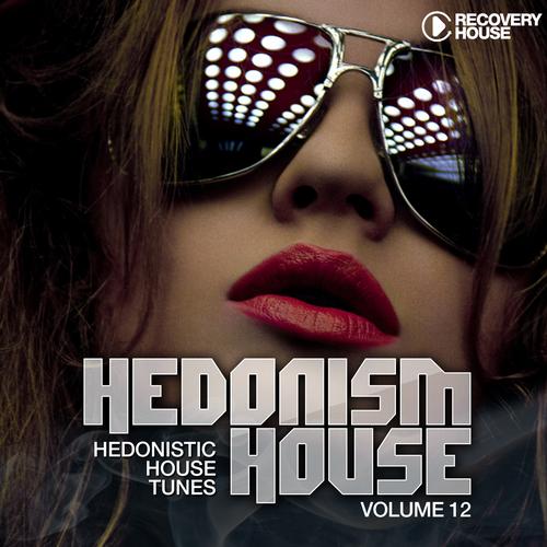 Album Art - Hedonism House Volume 12