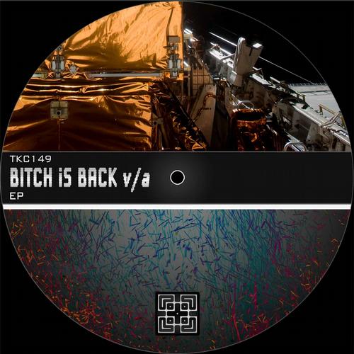 Album Art - Bitch Is Back - Various Artist EP