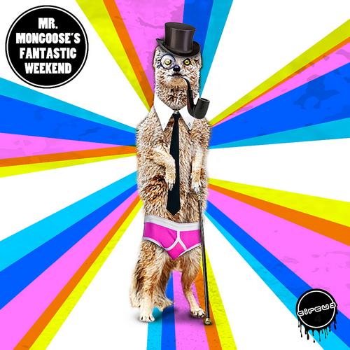 Album Art - Mr Mongoose's Fantastic Weekend EP