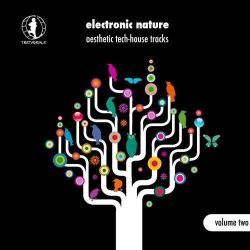Album Art - Electronic Nature, Vol. 2 - Aesthetic Tech-House Tracks!