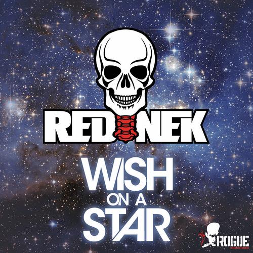 Album Art - Wish On A Star