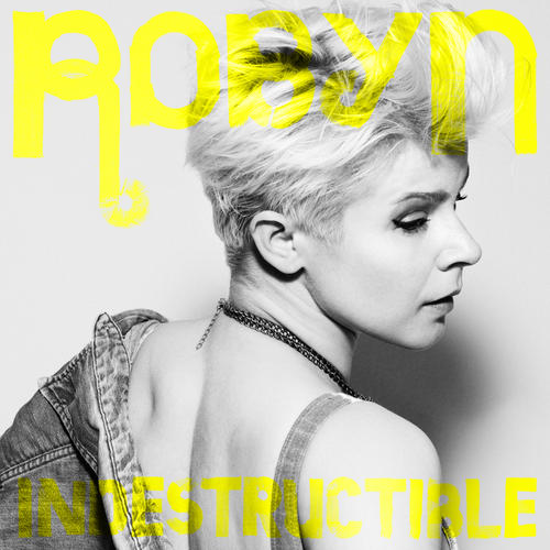 Album Art - Indestructible - Remixes
