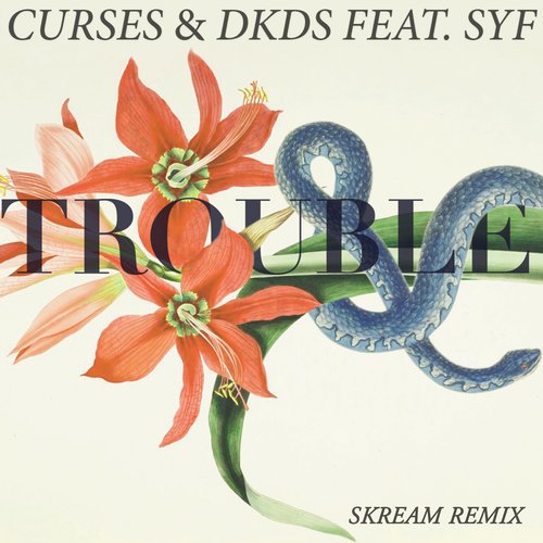 Album Art - Trouble - Skream Remix